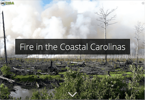 link to Fire in the Coastal Carolinas storymap
